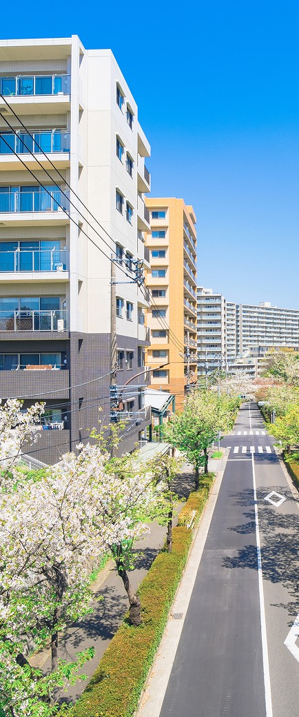 東横INNホテルの外観と綺麗な桜並木道の写真