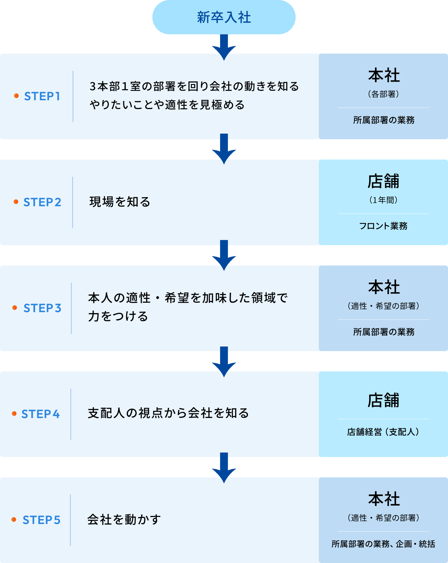 入社後のキャリアパス事例の図解