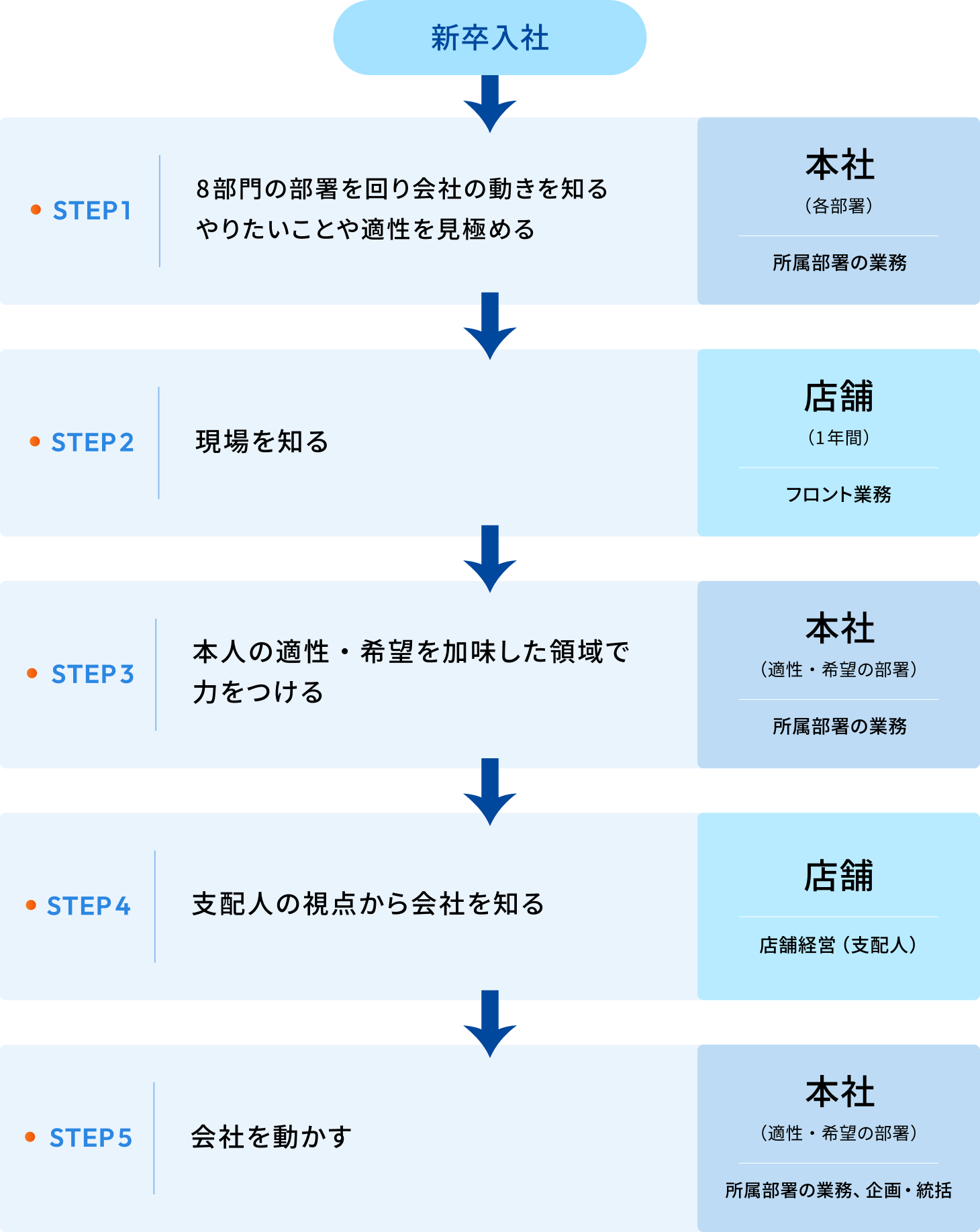入社後のキャリアパス事例の図解